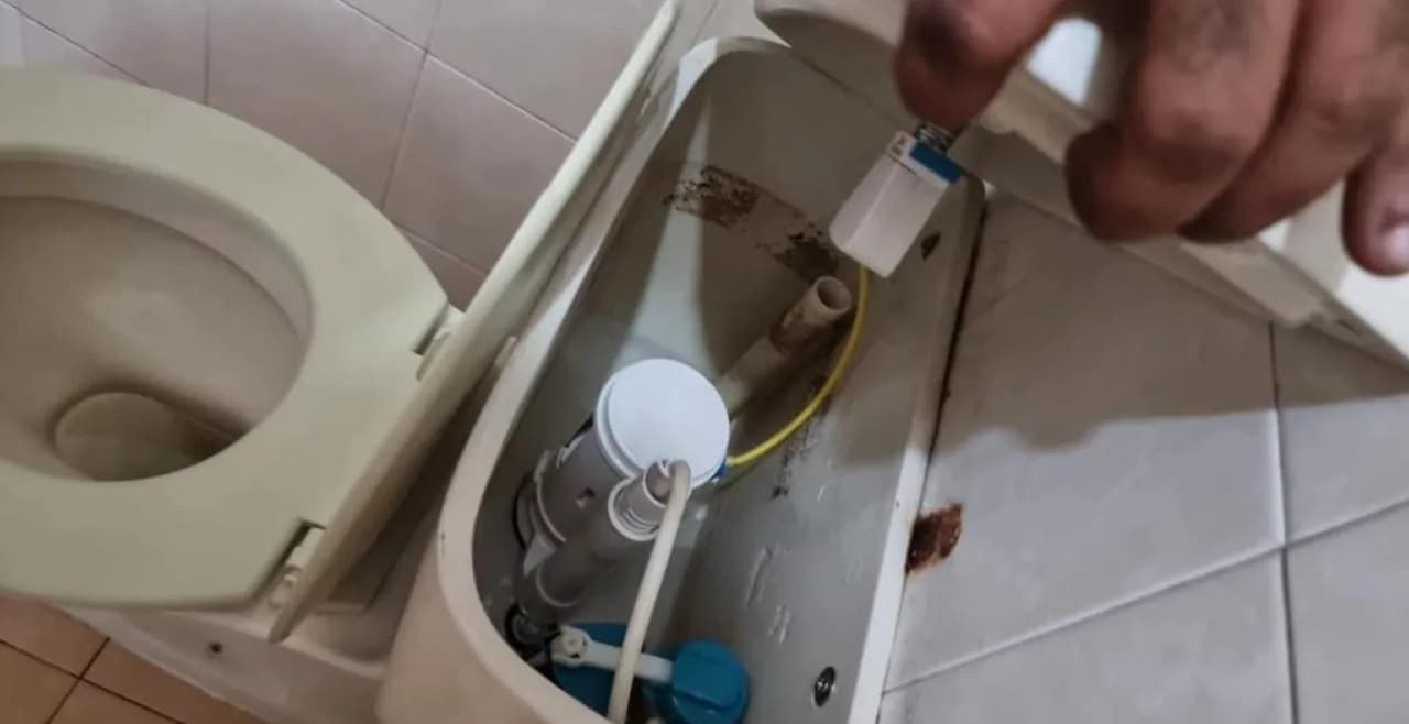 Toilet & Basin Installation